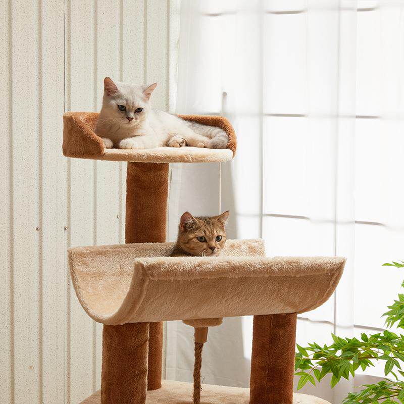 Роскошная деревянная лежанка-б – обзор и цена Home Decor Kota
